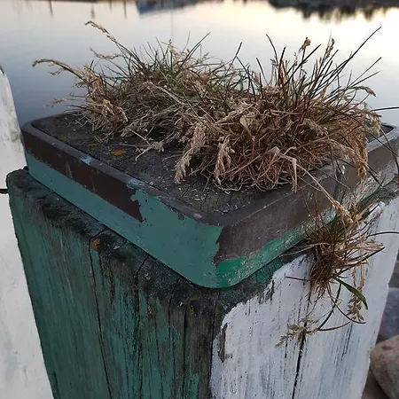 Penzion Koege Guesthouse 3*